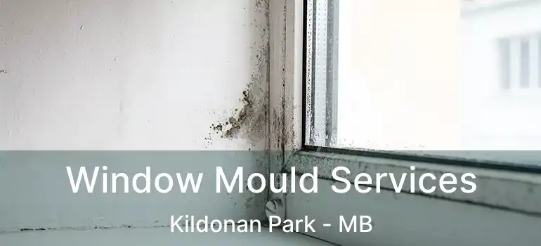  Window Mould Services Kildonan Park - MB