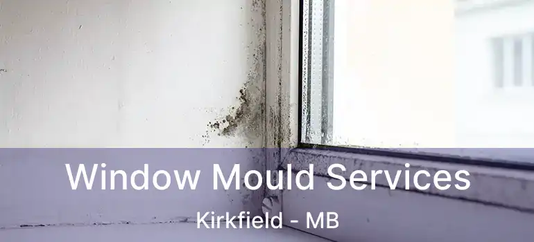  Window Mould Services Kirkfield - MB