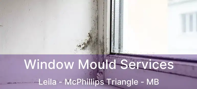  Window Mould Services Leila - McPhillips Triangle - MB