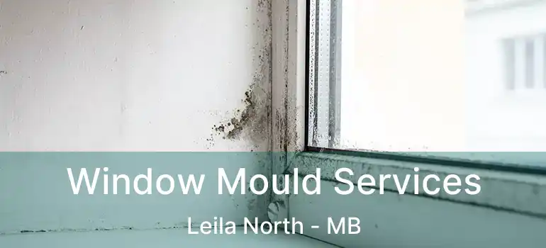 Window Mould Services Leila North - MB
