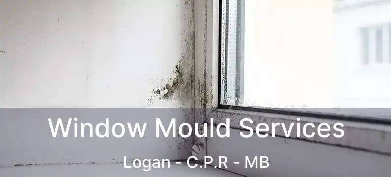  Window Mould Services Logan - C.P.R - MB