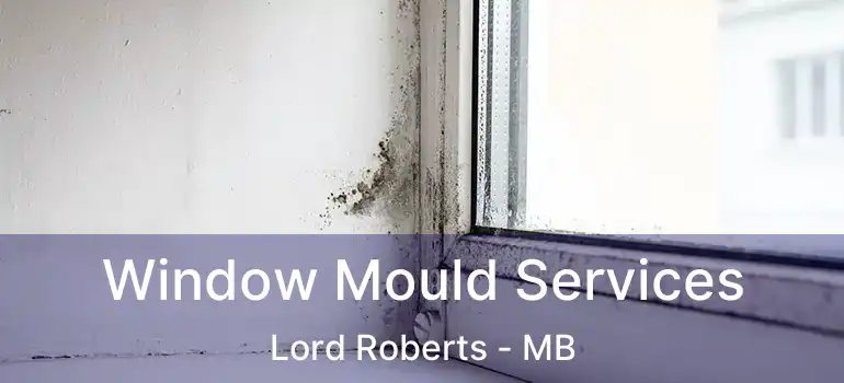  Window Mould Services Lord Roberts - MB