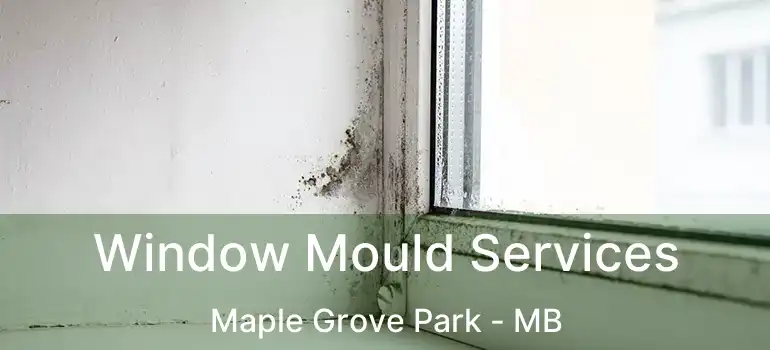  Window Mould Services Maple Grove Park - MB