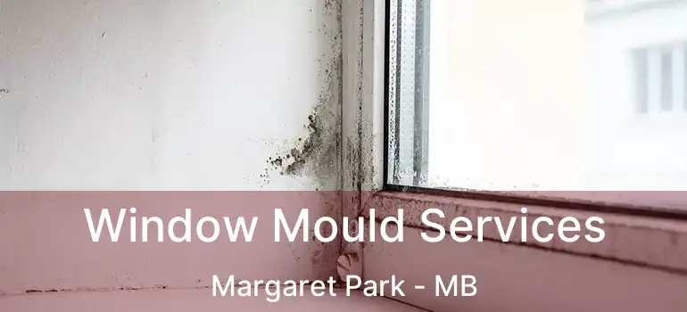  Window Mould Services Margaret Park - MB