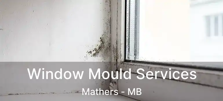  Window Mould Services Mathers - MB