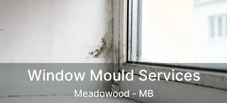  Window Mould Services Meadowood - MB