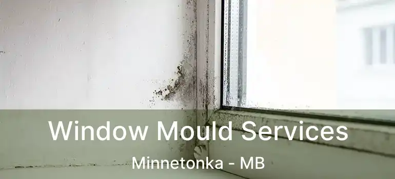  Window Mould Services Minnetonka - MB