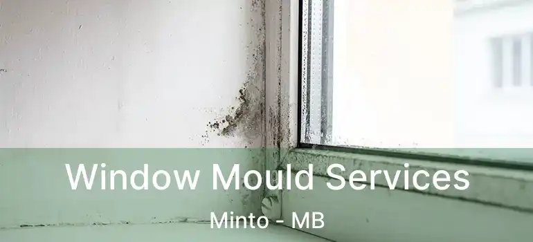  Window Mould Services Minto - MB