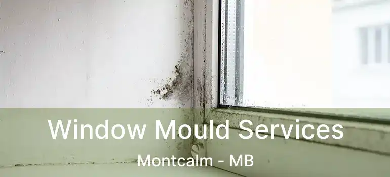  Window Mould Services Montcalm - MB