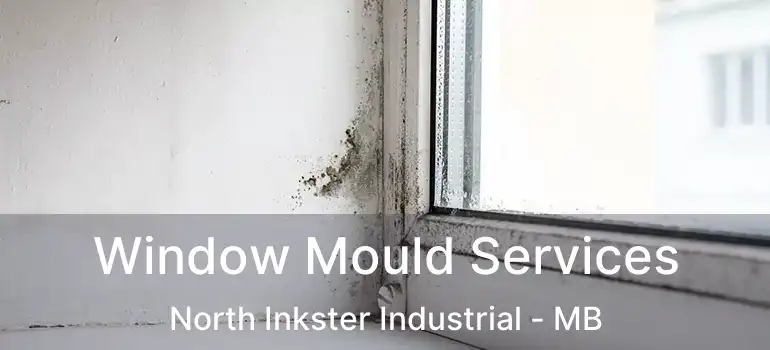  Window Mould Services North Inkster Industrial - MB