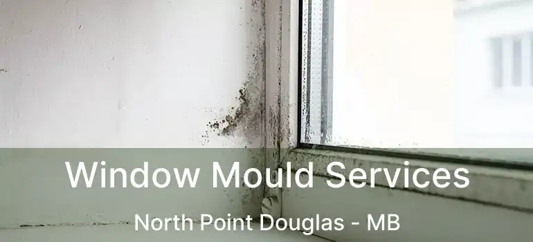  Window Mould Services North Point Douglas - MB