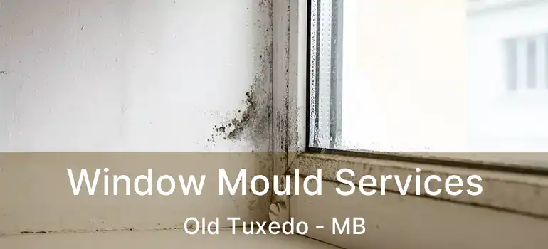  Window Mould Services Old Tuxedo - MB