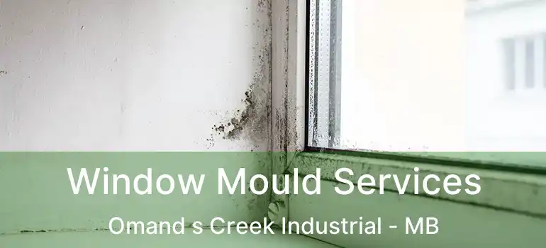  Window Mould Services Omand s Creek Industrial - MB