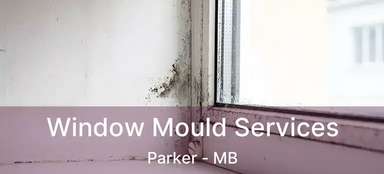  Window Mould Services Parker - MB