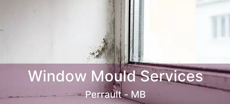  Window Mould Services Perrault - MB