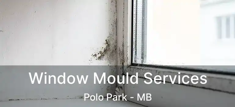  Window Mould Services Polo Park - MB