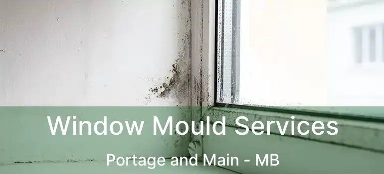  Window Mould Services Portage and Main - MB