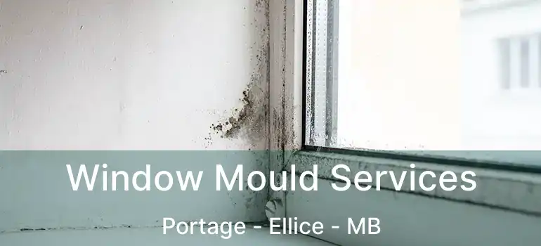  Window Mould Services Portage - Ellice - MB