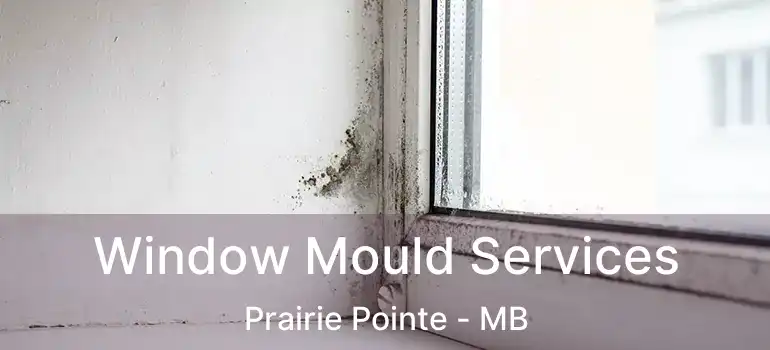  Window Mould Services Prairie Pointe - MB