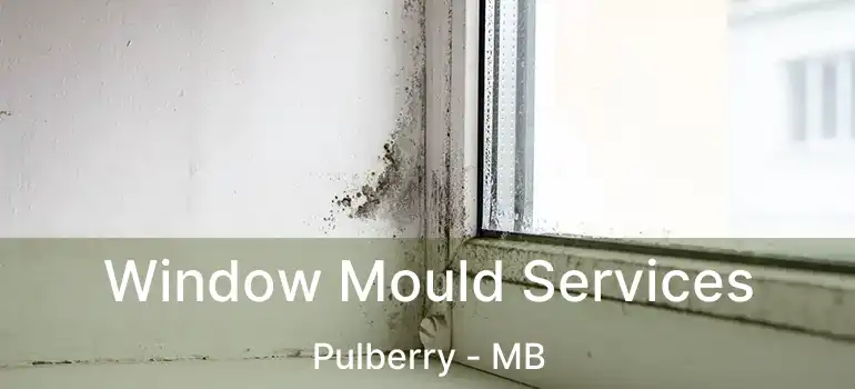  Window Mould Services Pulberry - MB