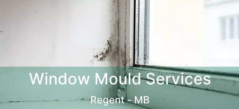  Window Mould Services Regent - MB
