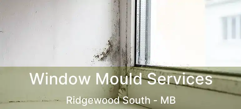  Window Mould Services Ridgewood South - MB