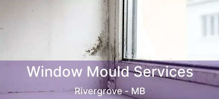  Window Mould Services Rivergrove - MB
