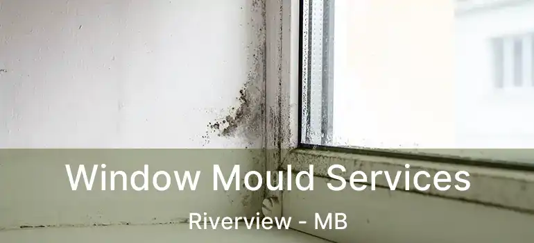  Window Mould Services Riverview - MB