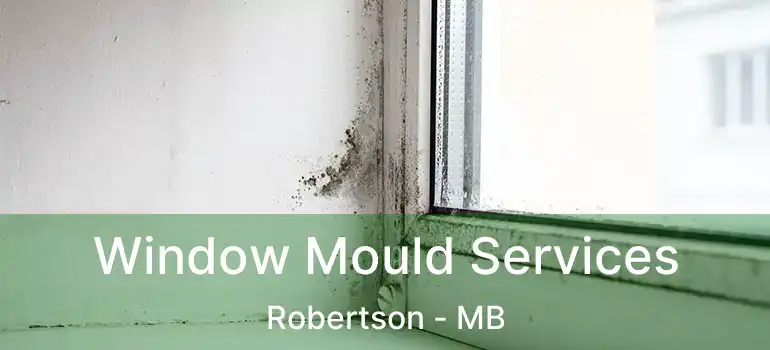  Window Mould Services Robertson - MB
