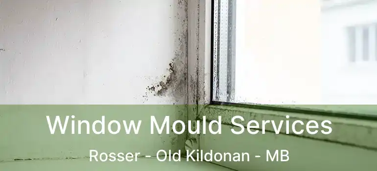  Window Mould Services Rosser - Old Kildonan - MB