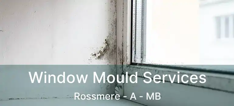  Window Mould Services Rossmere - A - MB