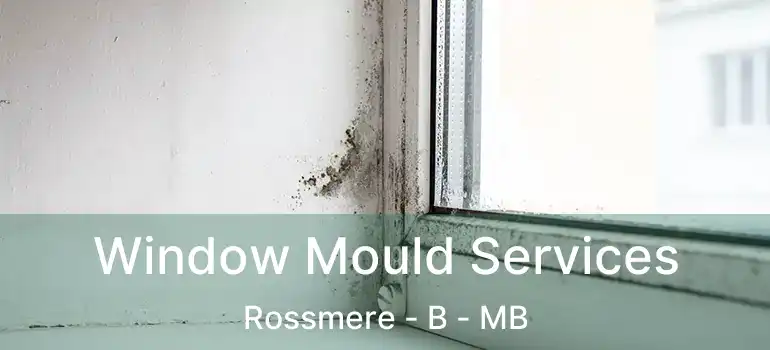  Window Mould Services Rossmere - B - MB