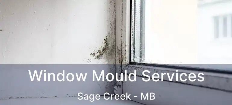  Window Mould Services Sage Creek - MB