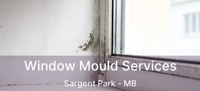  Window Mould Services Sargent Park - MB