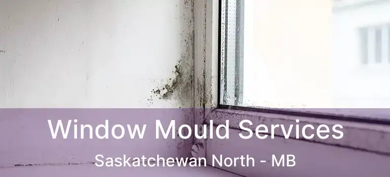  Window Mould Services Saskatchewan North - MB