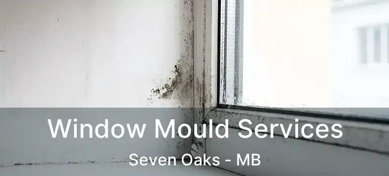  Window Mould Services Seven Oaks - MB