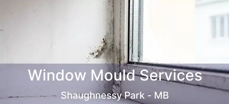  Window Mould Services Shaughnessy Park - MB