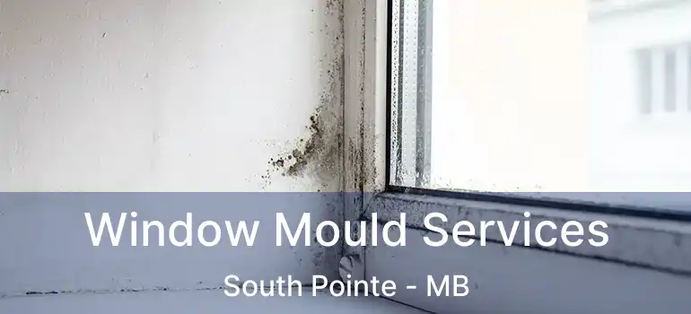  Window Mould Services South Pointe - MB