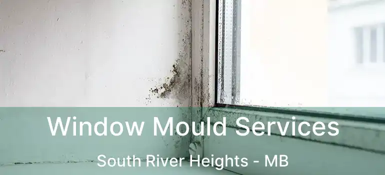  Window Mould Services South River Heights - MB