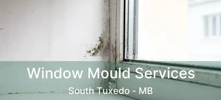  Window Mould Services South Tuxedo - MB