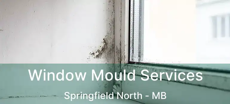  Window Mould Services Springfield North - MB