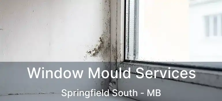  Window Mould Services Springfield South - MB