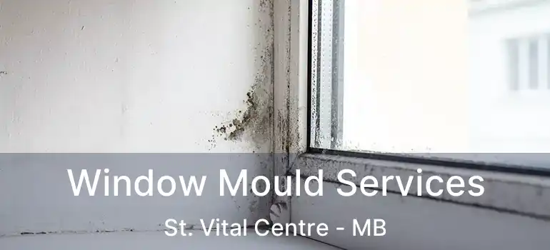  Window Mould Services St. Vital Centre - MB