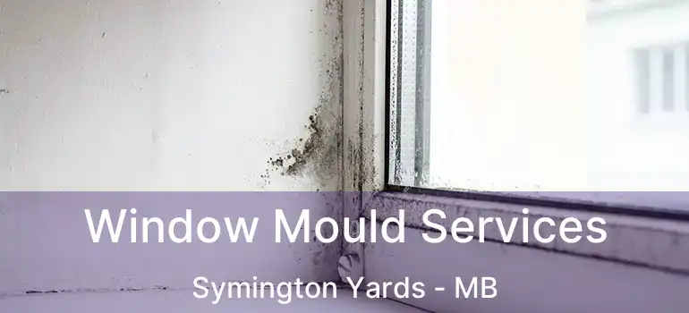  Window Mould Services Symington Yards - MB
