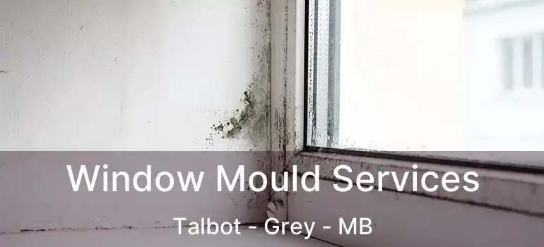  Window Mould Services Talbot - Grey - MB
