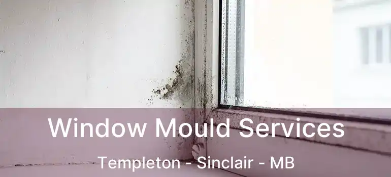  Window Mould Services Templeton - Sinclair - MB