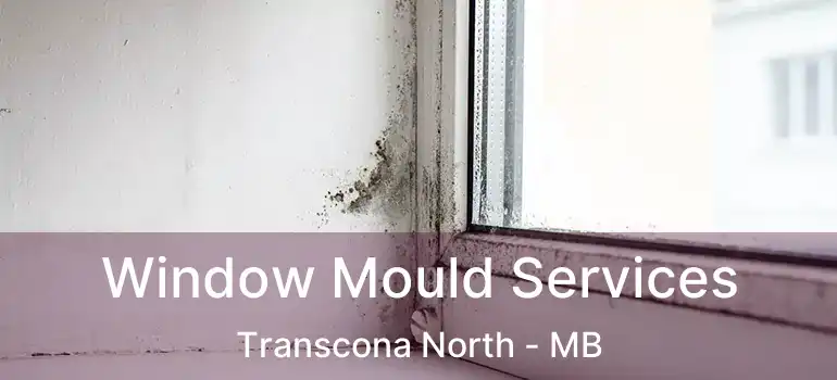 Window Mould Services Transcona North - MB