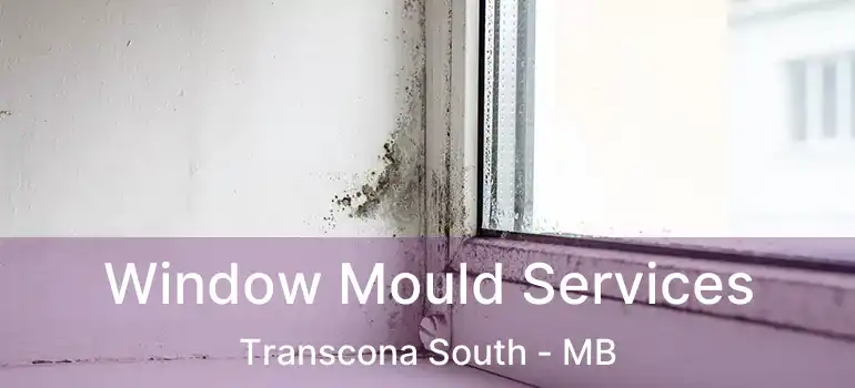  Window Mould Services Transcona South - MB