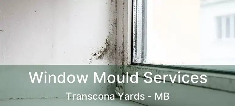  Window Mould Services Transcona Yards - MB
