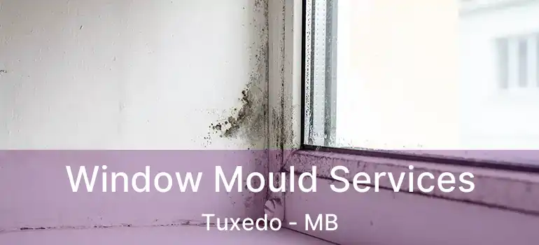  Window Mould Services Tuxedo - MB